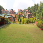 Nature Bloom Hotel and Resort
